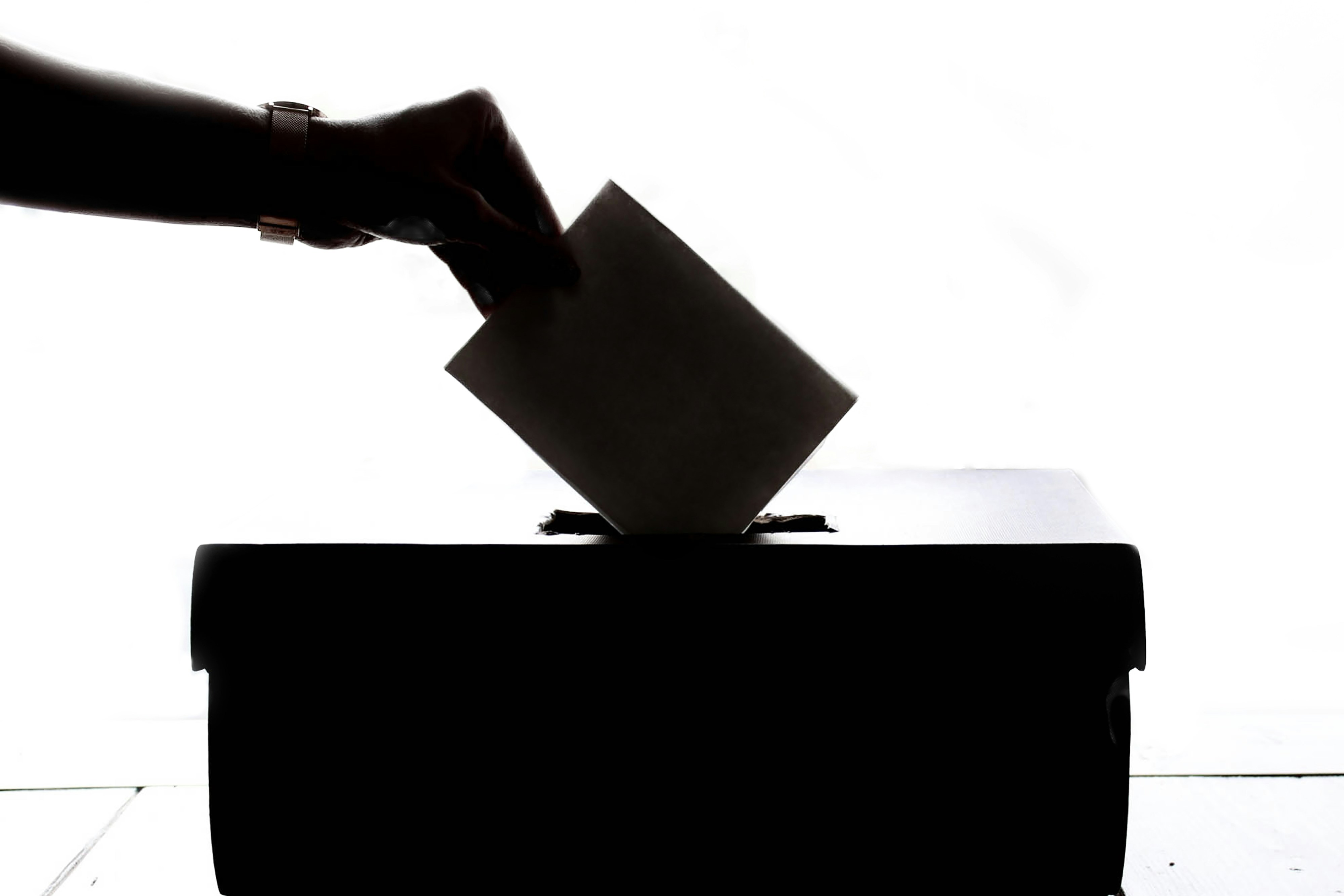 Albo delle persone idonee all'ufficio di Presidente di seggio elettorale