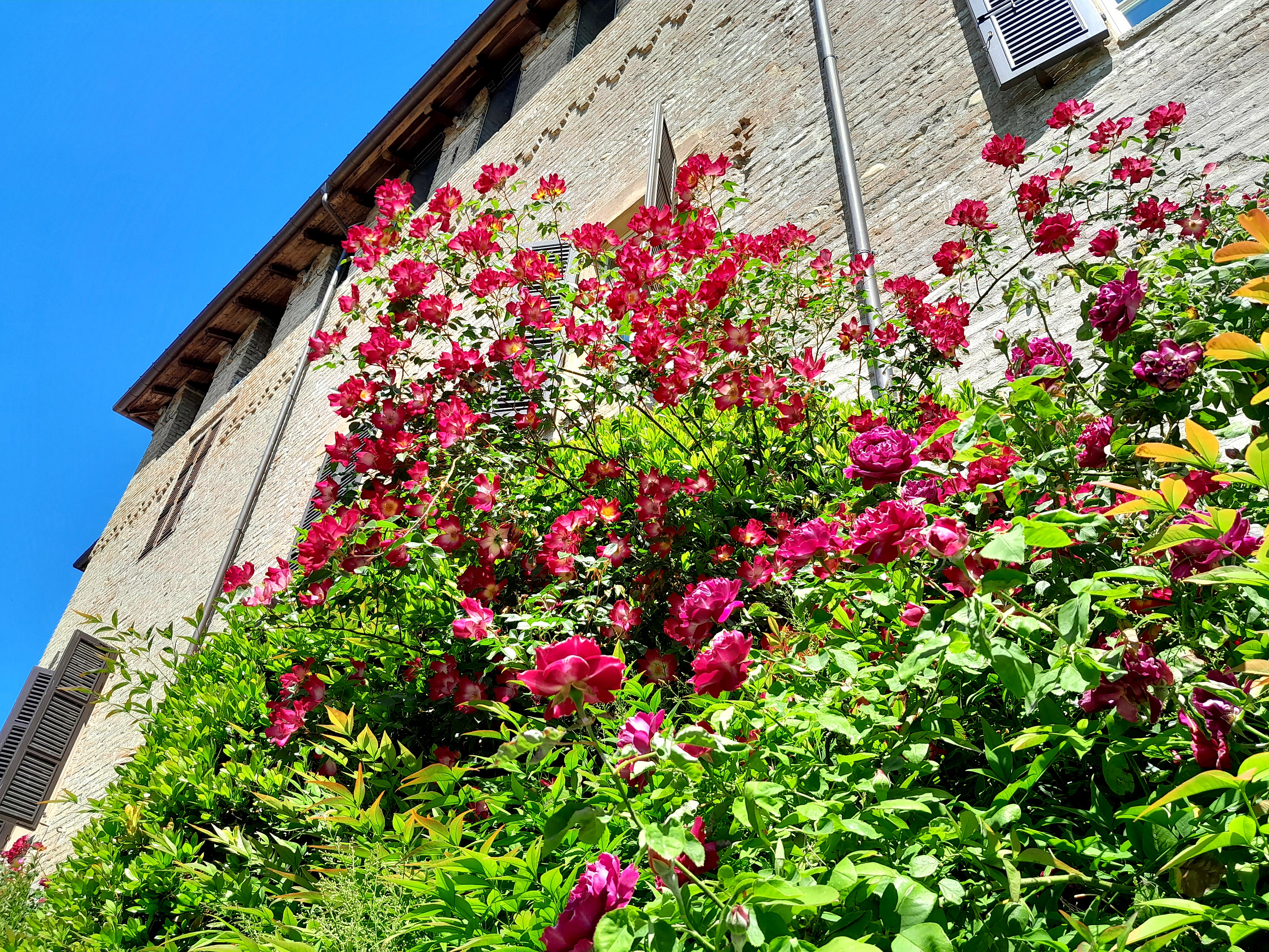 Eventi maggio 2026