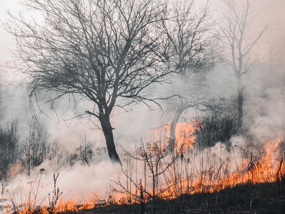 Incendi boschivi, fase di preallarme e dichiarazione dello stato di grave pericolosità con estensione a tutto il territorio regionale dal 14/08/2026 al 23/08/2026 compresi 