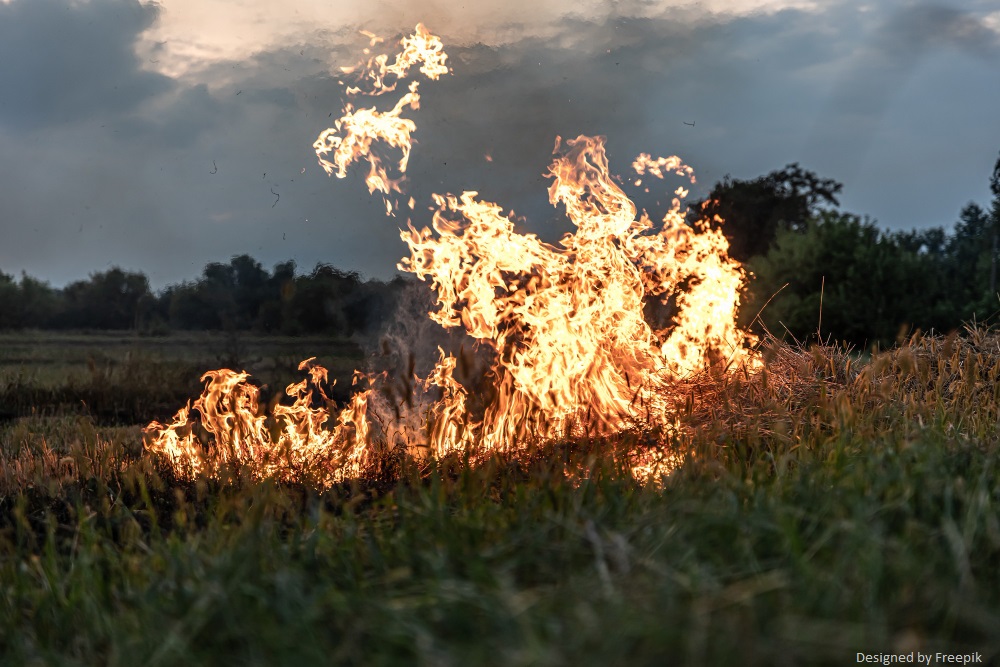 Emessa ordinanza sindacale contingibile ed urgente per la prevenzione incendi e caduta alberi lungo le linee ferroviarie