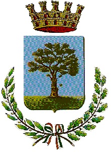 Convocazione Consiglio Comunale 29-07-2026