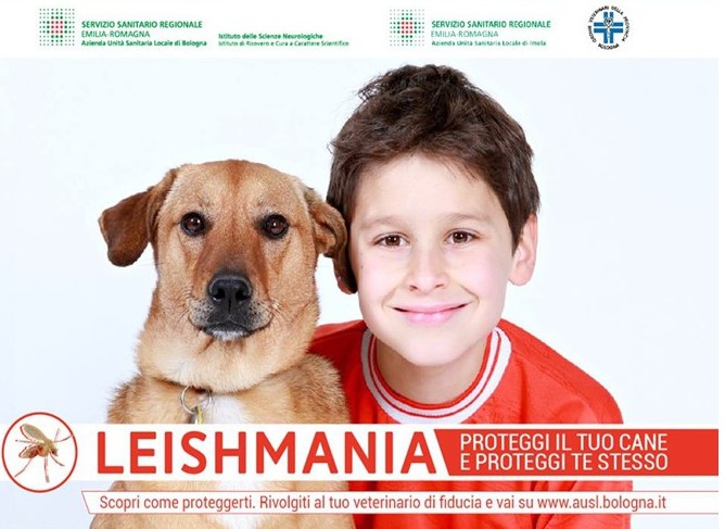 Protetti dalla Leishmania