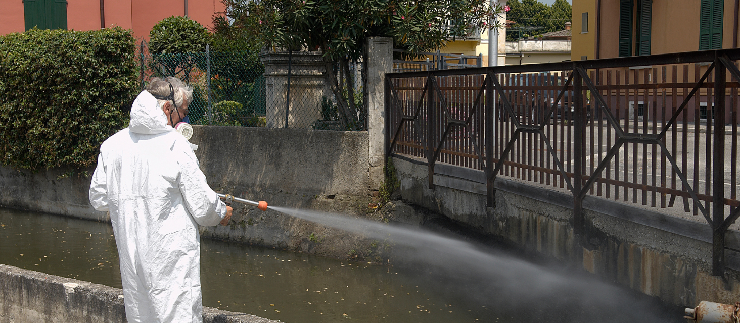 Zanzara tigre, nuova disinfestazione in aree verdi private