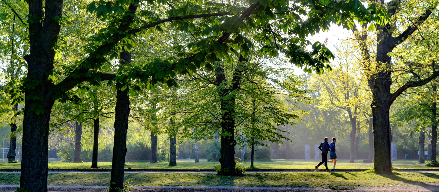 On line la mappa interattiva del verde pubblico comunale