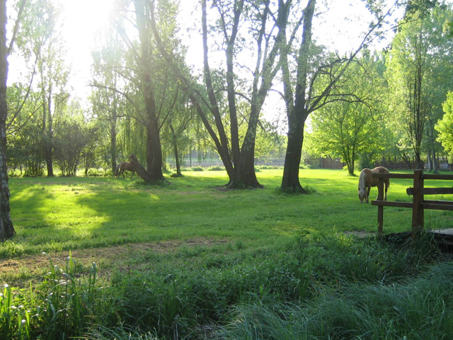 Affidamento in concessione del servizio di gestione e sviluppo del parco valle del Menago