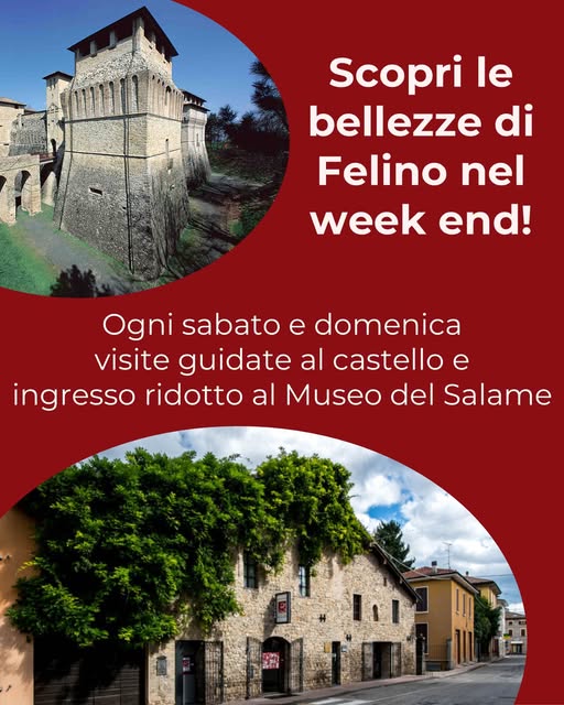 Sorprendente Felino tra Castello e Museo del Salame