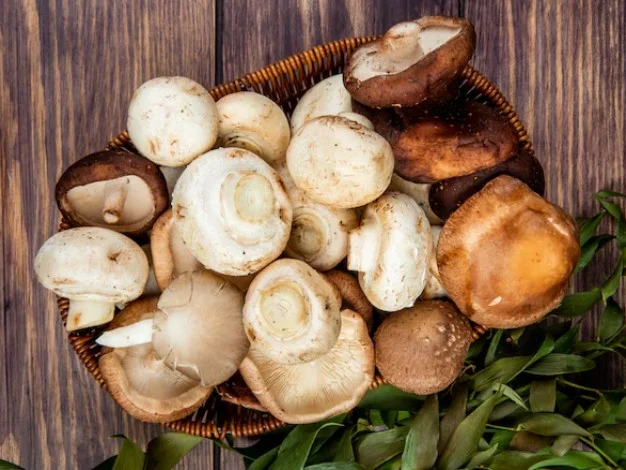 Divieto di raccolta temporaneo dei funghi epigei all'interno dei castagneti da frutto in 