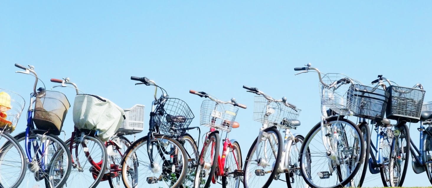 Nel Cortile d’onore l’asta delle biciclette recuperate  