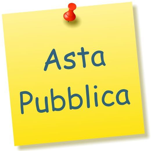 Avviso di asta pubblica