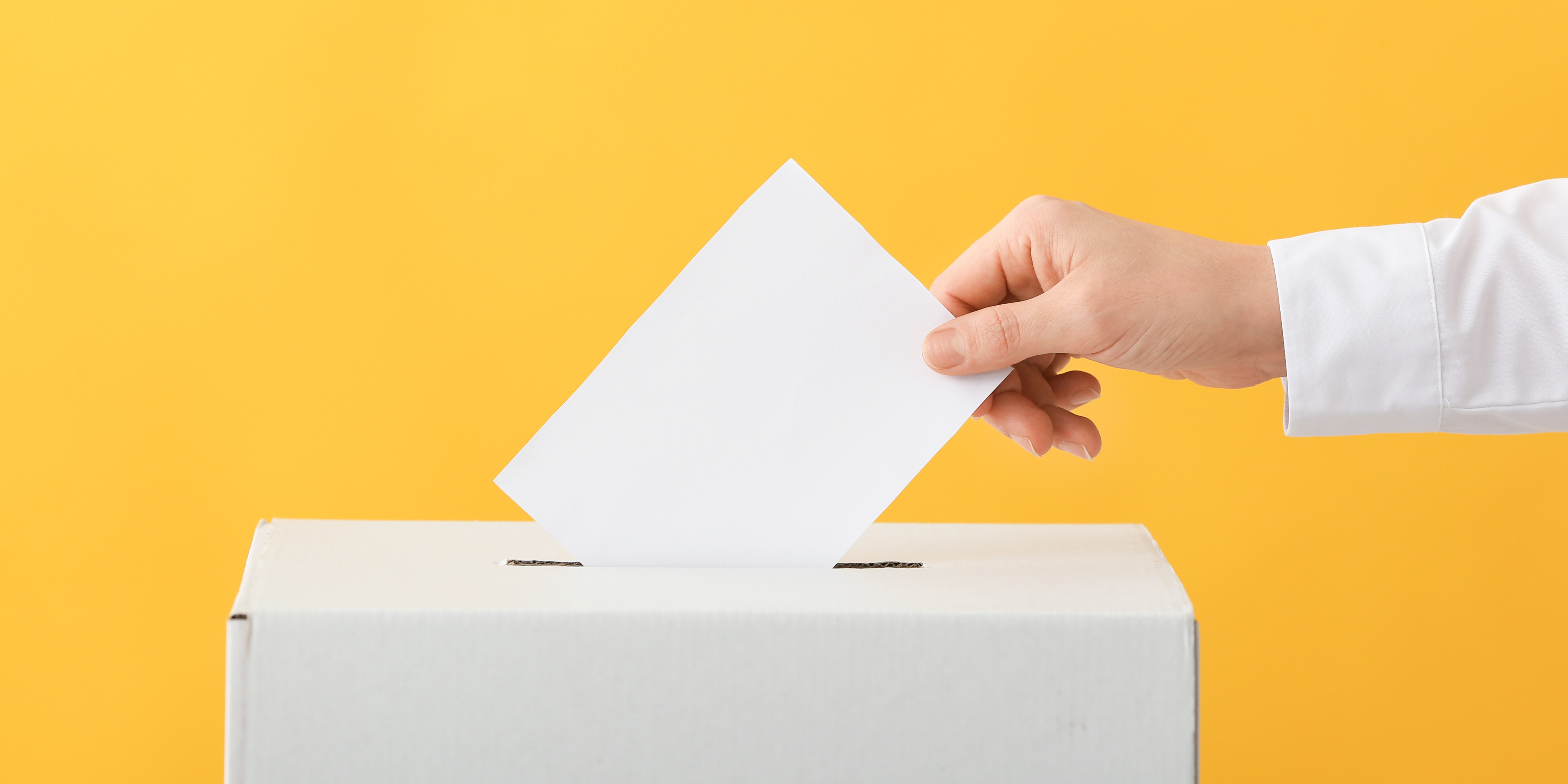 Online la domanda per diventare scrutatore di seggio