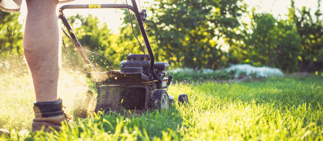 A tutela dell’ecosistema si sperimenta lo sfalcio ridotto