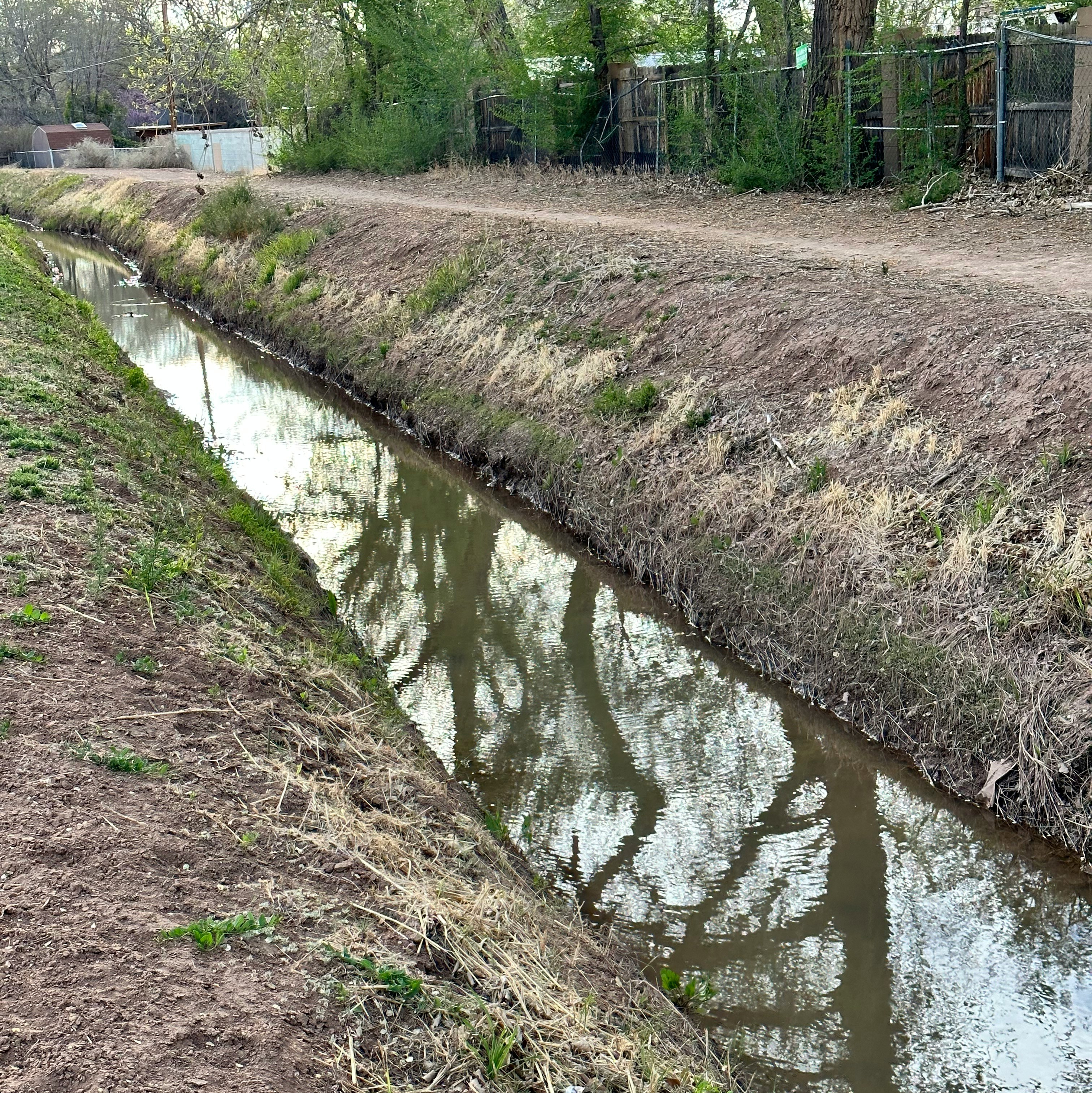 Obbligo di pulizia di fossati, condotte e canali per proprietari, affittuari e frontisti