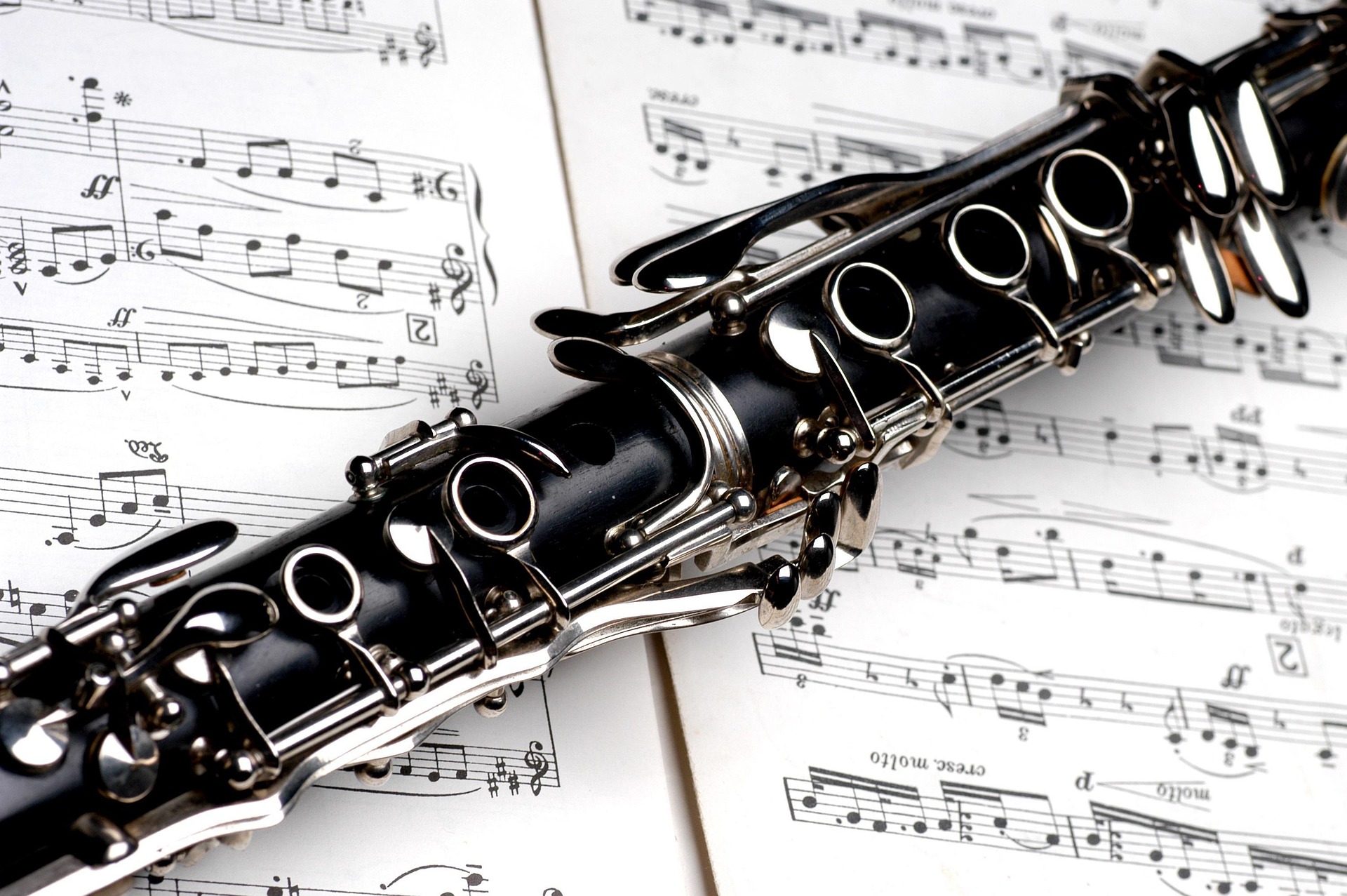 A scuola di musica con il Corpo Bandistico “Luigi Pini”
