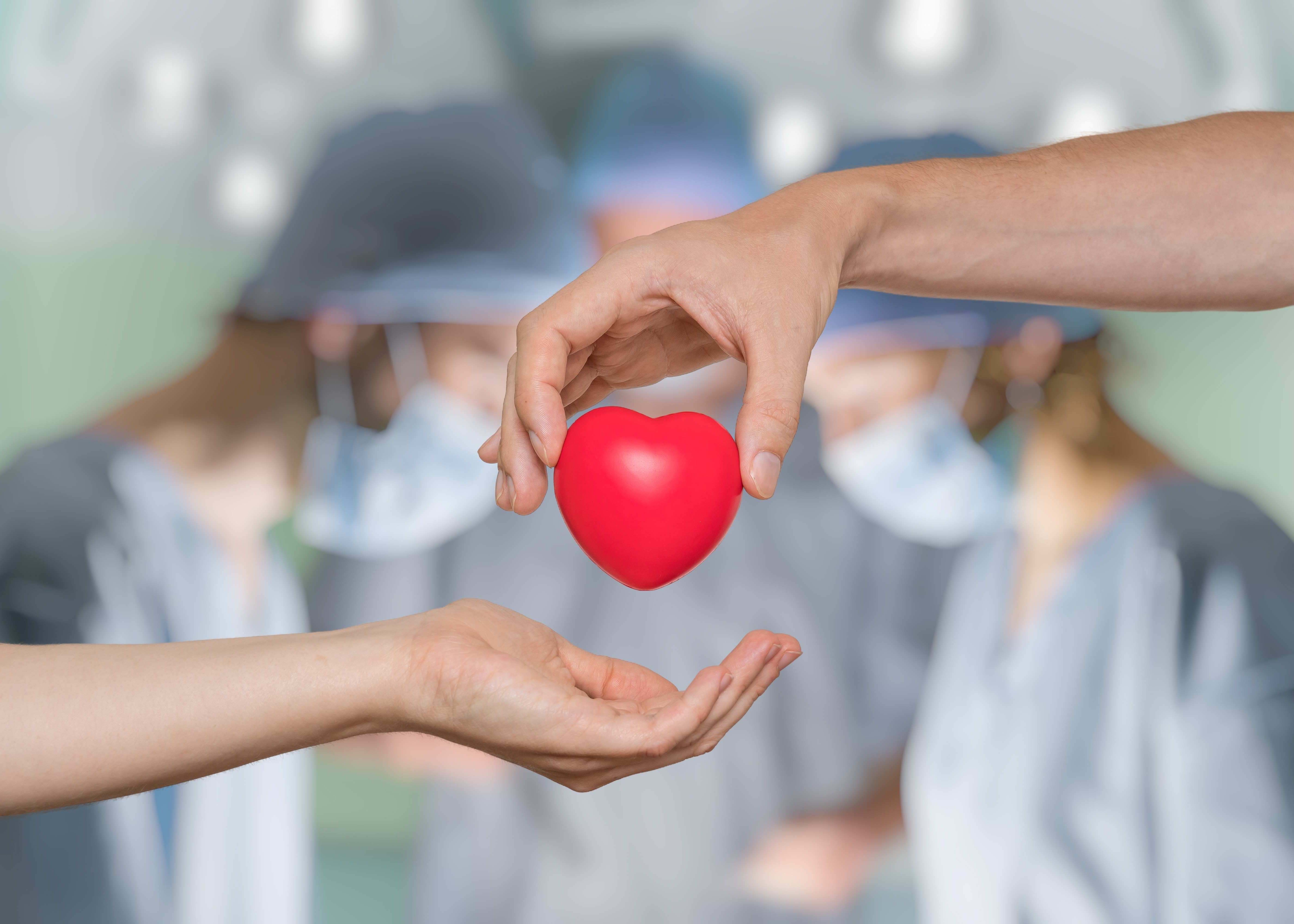 Donazione di Organi e Tessuti