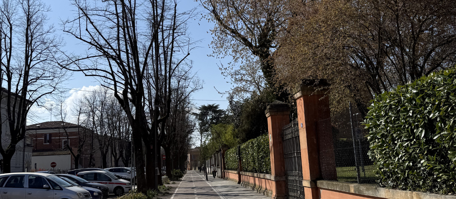 Intervento per mettere in sicurezza viale Carducci