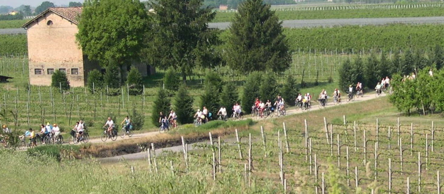 Domenica 19 aprile torna lo “Sciame di biciclette”