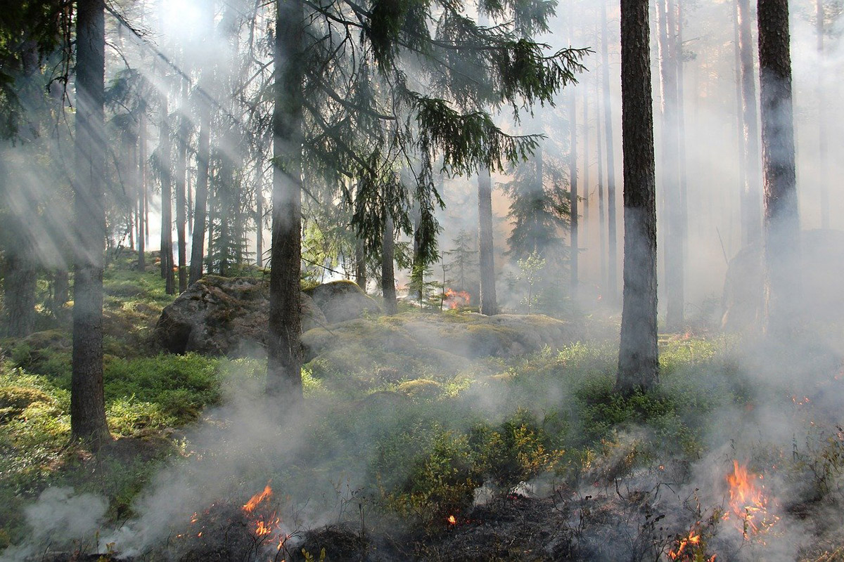 Inizia la fase di attenzione per gli incendi boschivi, le regole per l'accensione di fuochi