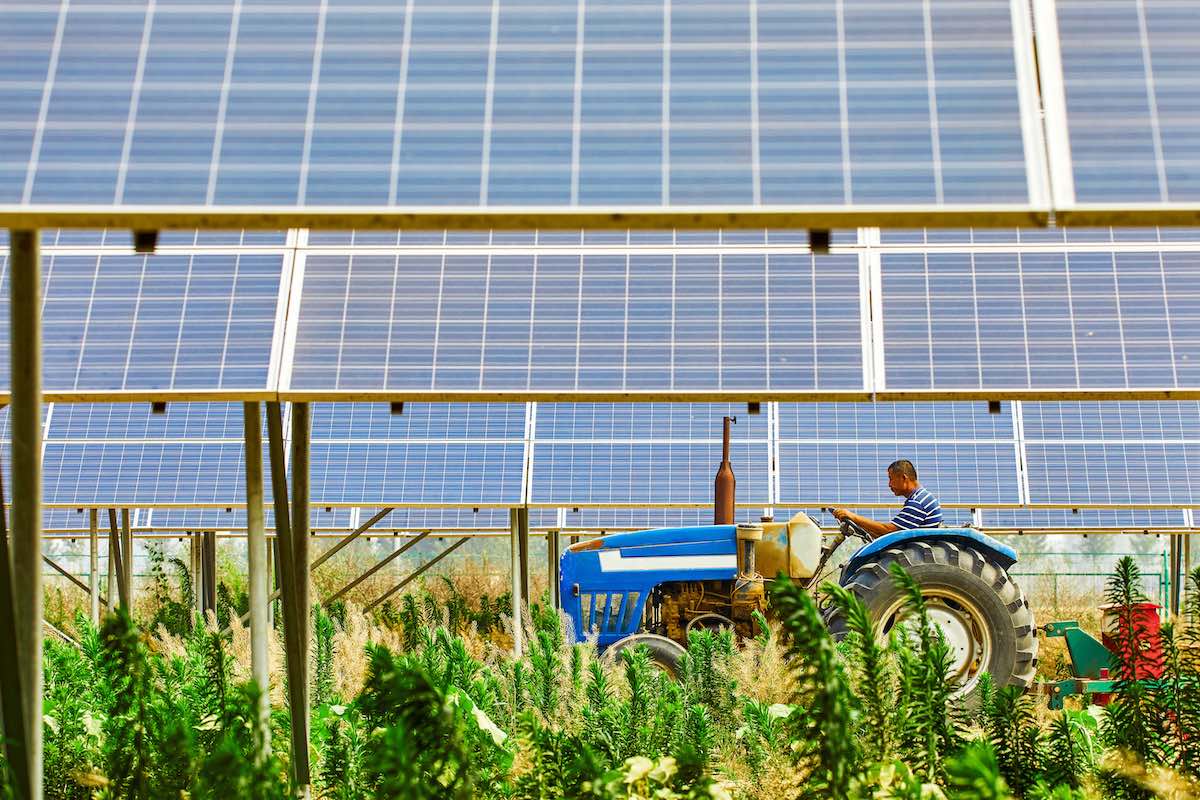  Procedimento Unico di Valutazione Impatto Ambientale per Impianto solare agrivoltaico con potenza pari a 24 MW - Pubblicazione delle integrazioni e possibilità di avanzare osservazioni