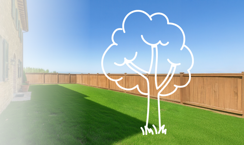 Il tuo albero ti aspetta! 