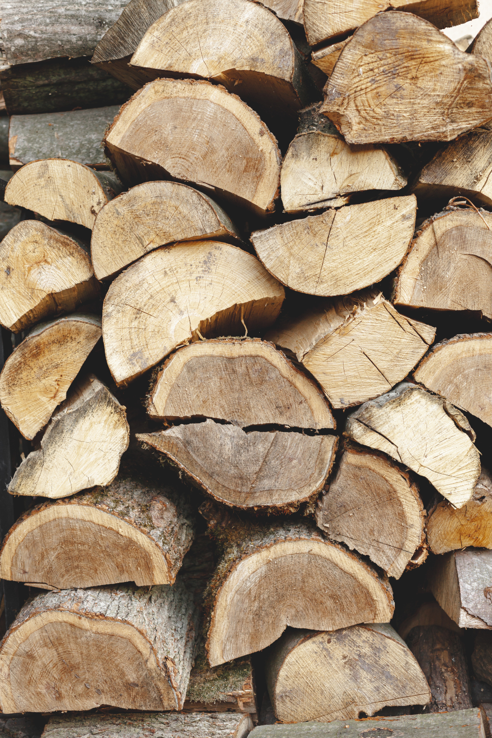 Avviso di vendita per asta pubblica del materiale legnoso ritraibile dal taglio del bosco sito in loc. Monte Fogliano – part. 20 