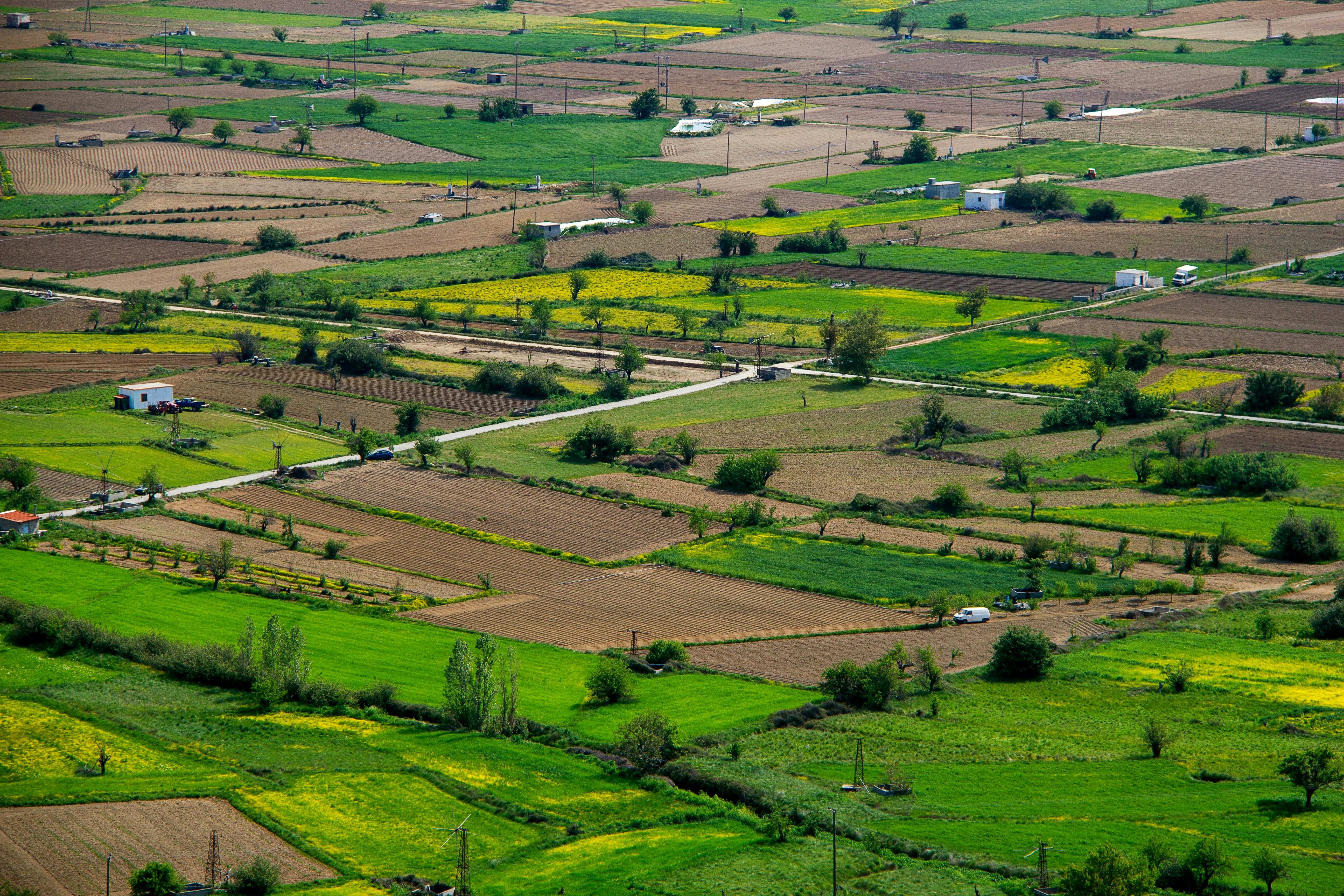  Bando assegnazione lotto di terreno Loc. Pontaccio – Selciatella – Pontone di Calisto nella tenuta comunale di  Monte Calvo – Stagioni Agrarie 2026/2031