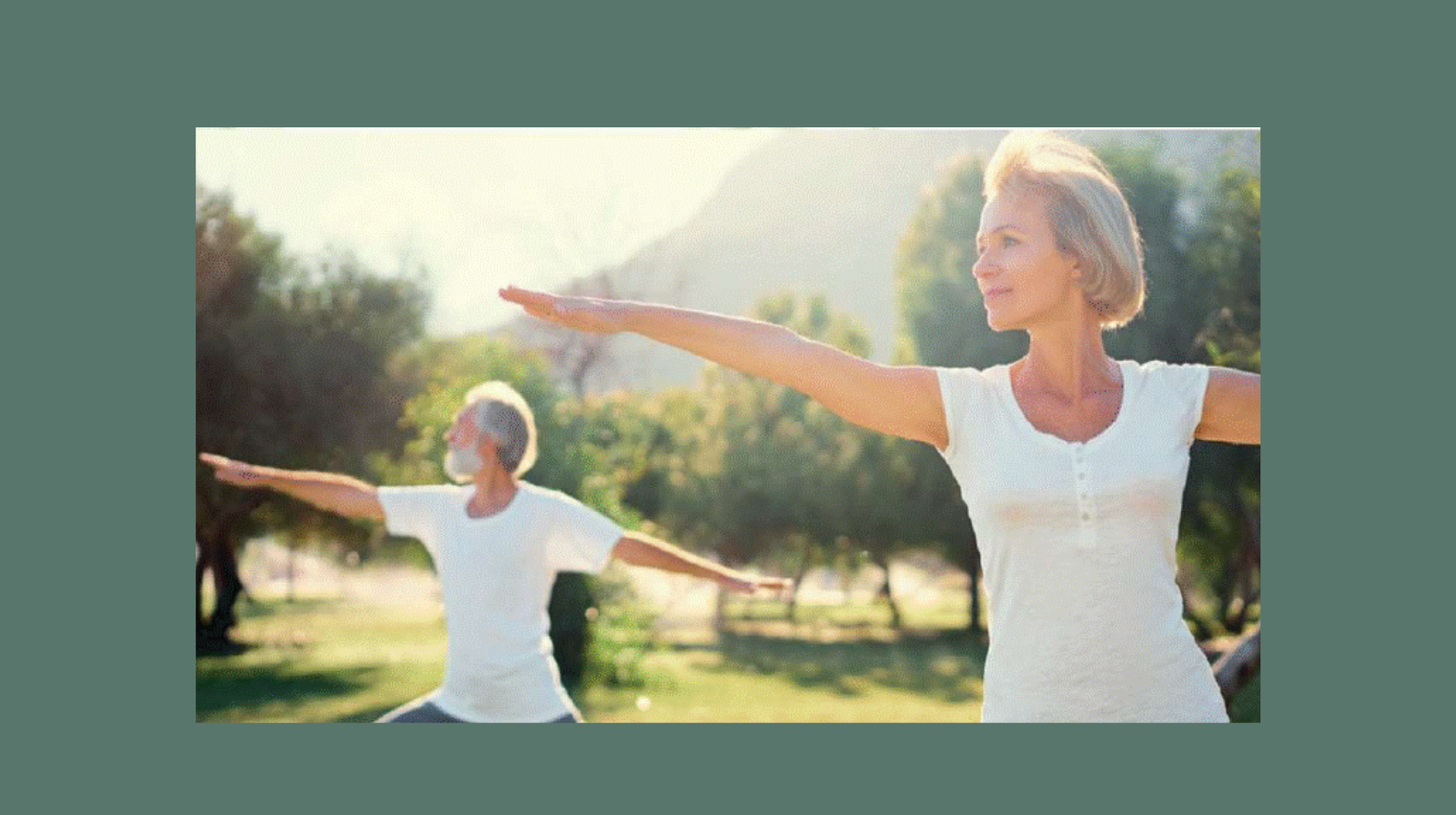 Ginnastica al parco