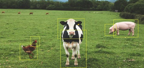 Sanità animale e zootecnia: incontro pubblico  mercoledì 6 maggio a Palazzo Ducale