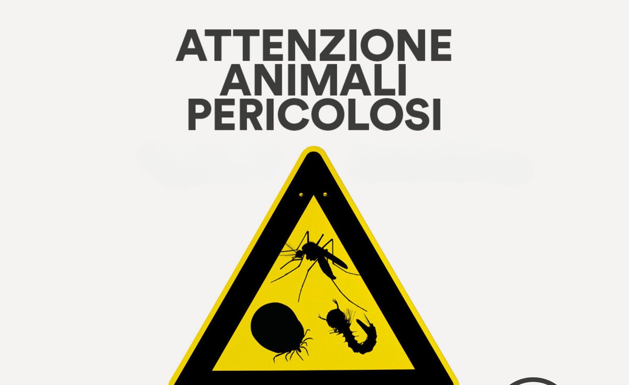 Positività west nile in Veneto: principali azioni di prevenzione