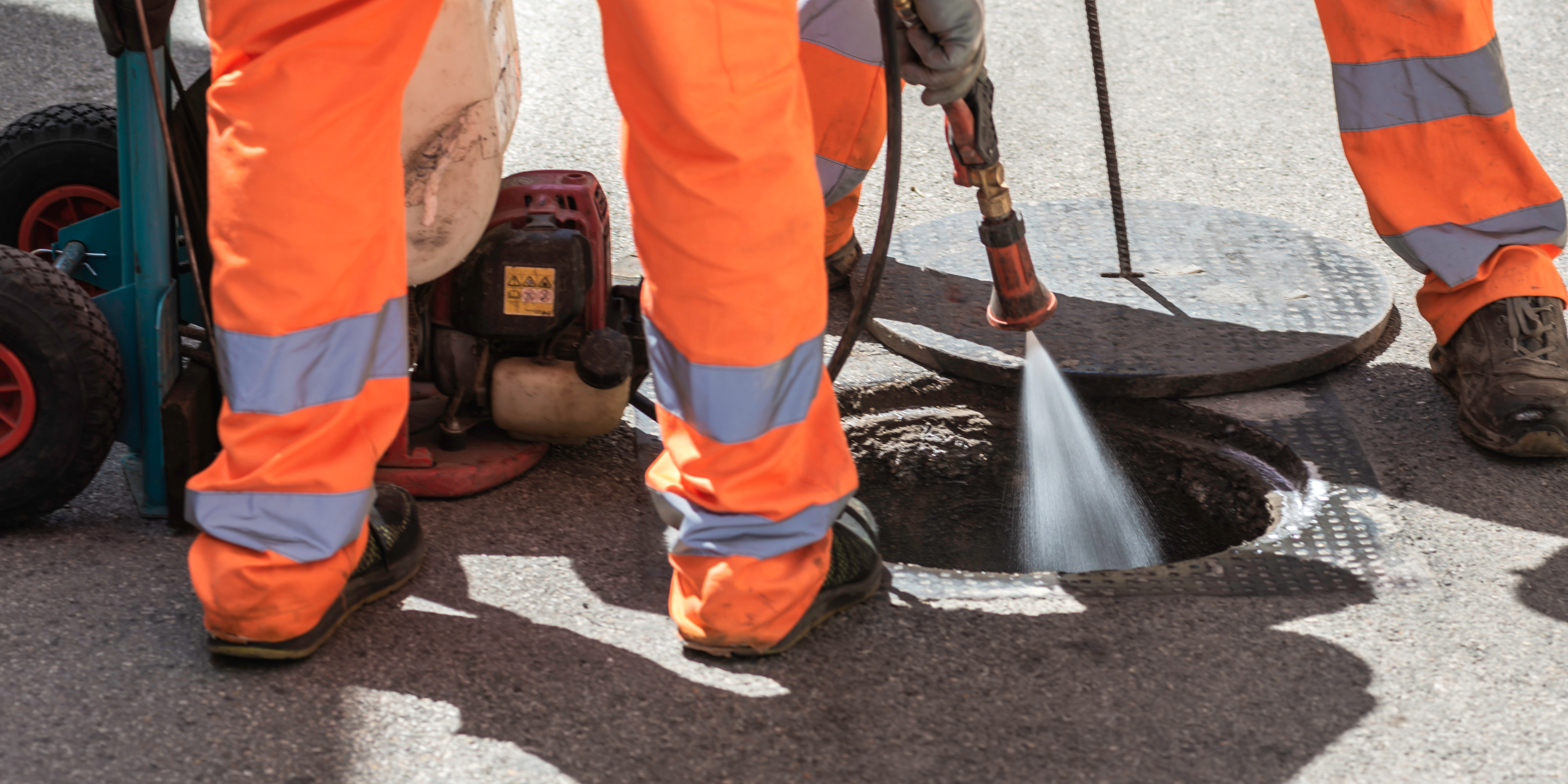 Al via i trattamenti antilarvali