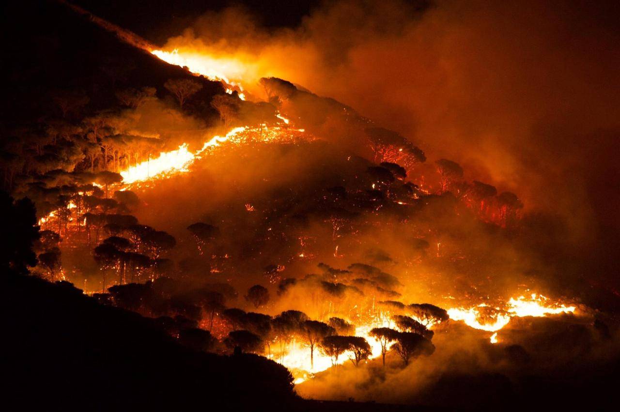  Avviso. Aggiornamento catasto dei soprassuoli percorsi dal fuoco (catasto incendi) anno 2024  Prot. N.0009657 del 04-09-2025 in interno  Comune di San Piero Patti (ME)  — art. 10, comma 2, L 353/2000