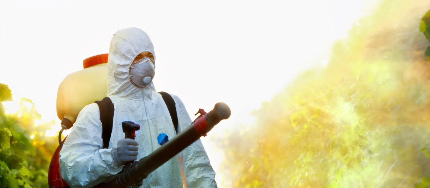 Caso di Chikungunya a Carpi: la persona è in buone condizioni di salute