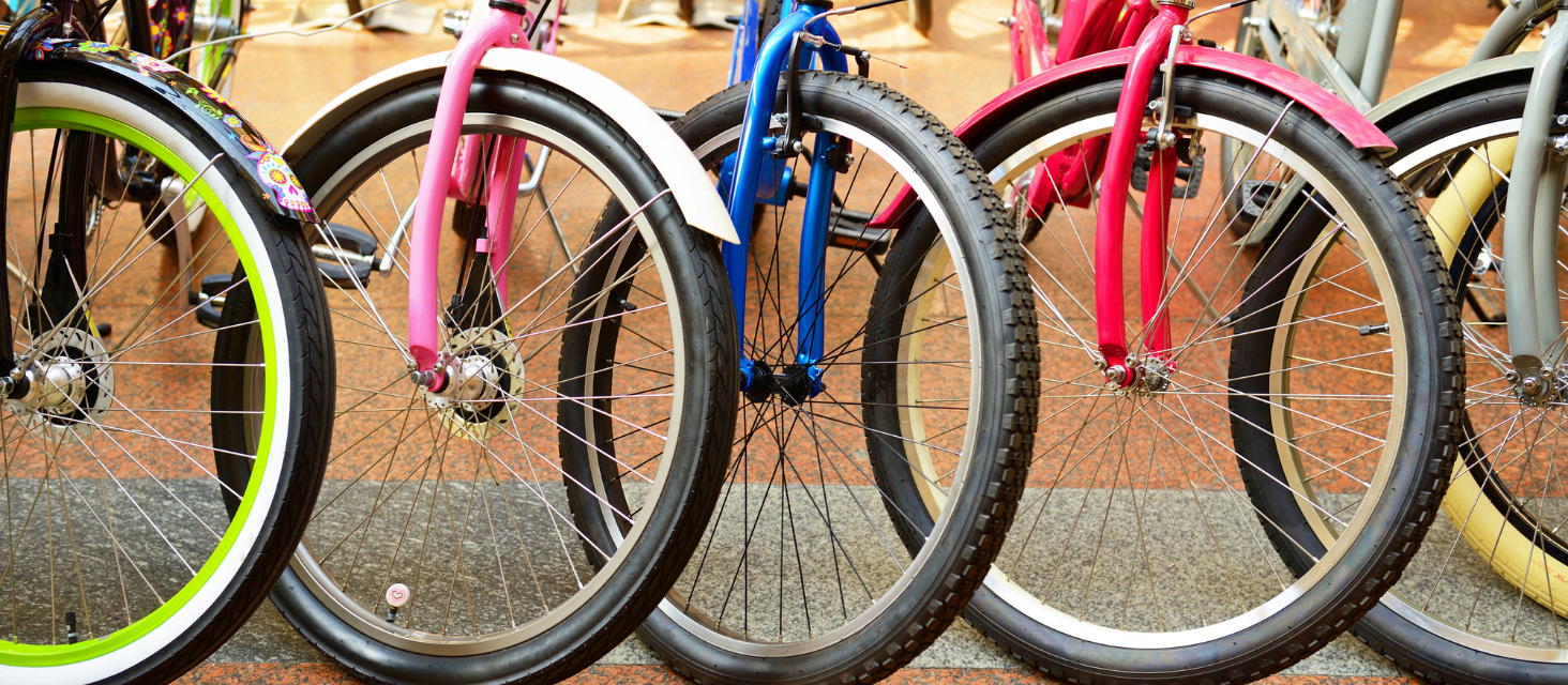 Sabato 18 aprile asta delle biciclette con la “Balorda”