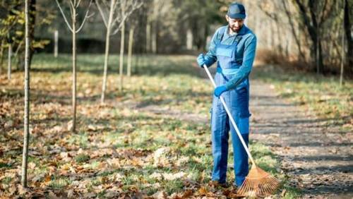 Graduatoria selezione lavori pubblica utilità 751/24