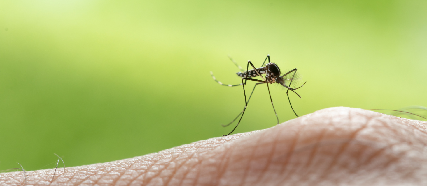 Sorveglianza e controllo delle arbovirosi