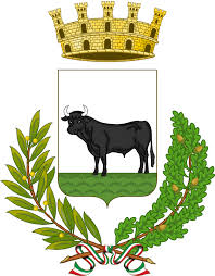 CONVOCAZIONE CONSIGLIO COMUNALE PER MARTEDI' 31 MARZO ORE 18:00