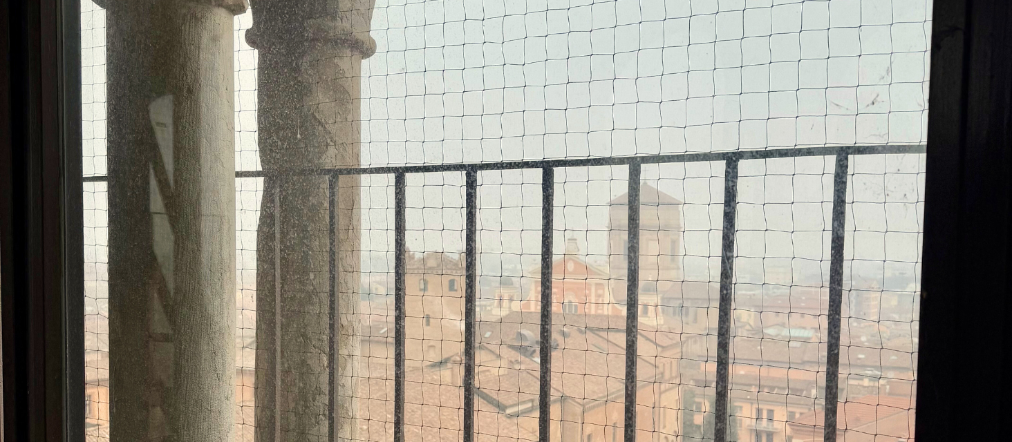 La torre della Sagra riapre alle visite