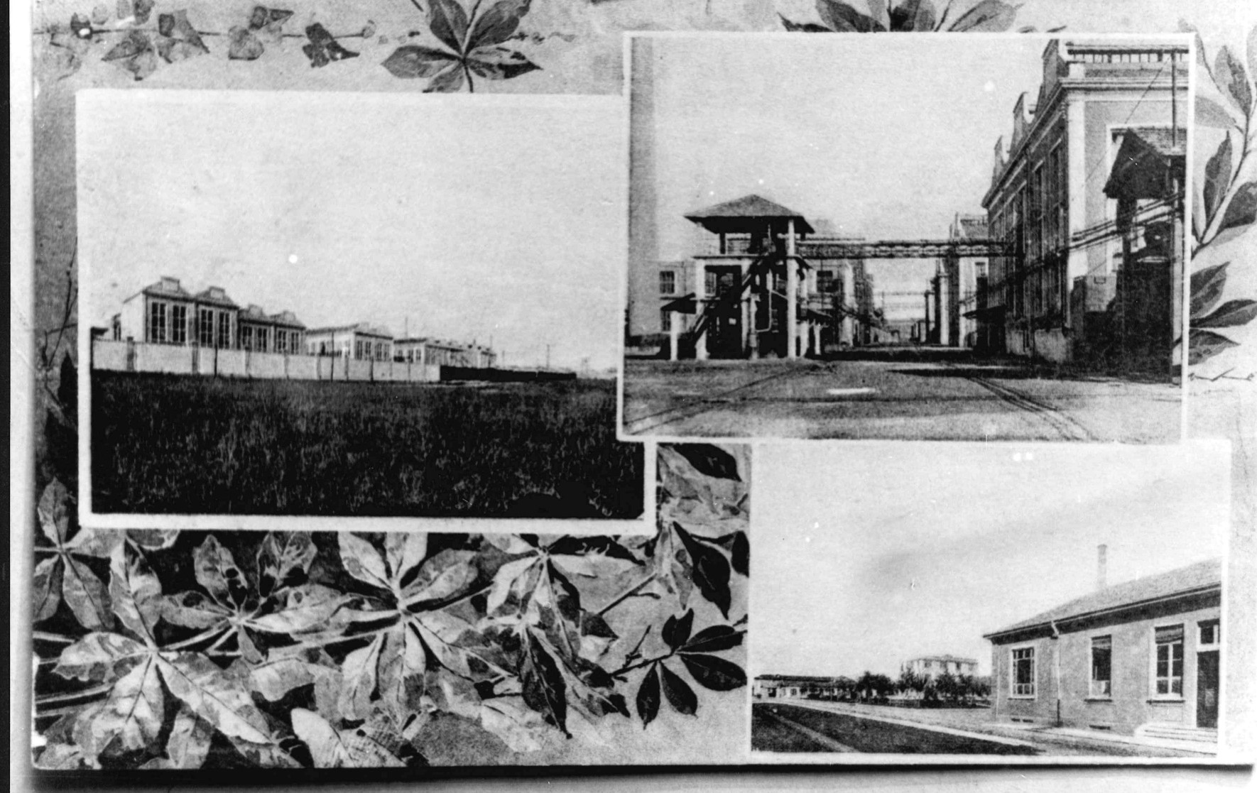 100 anni di Snia: una storia che continua