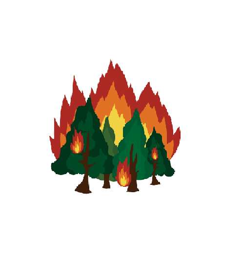 Incendi boschivi, fase di attenzione 