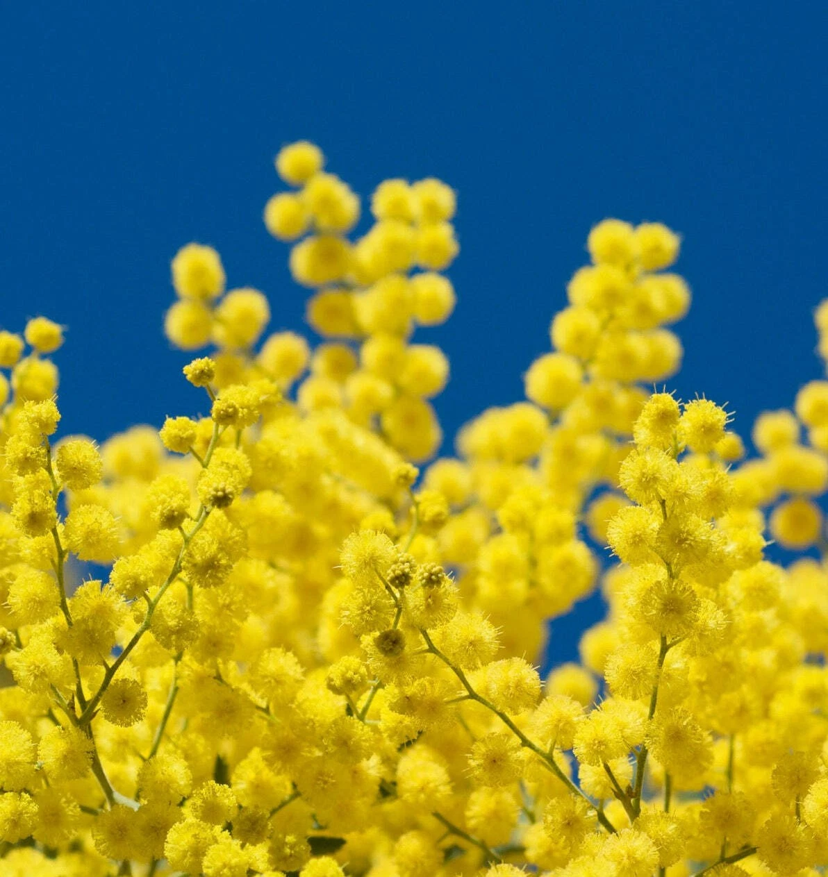 Marzo 2026: incontri e una mostra di pittura dedicati alle donne