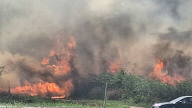 Ordinanza Sindacale n. 84 del 01/06/2026: Interventi manutentivi su aree e terreni incolti del territorio comunale al fine di prevenire il rischio di incendi, tutelare l'incolumità e la salute di persone, animali e cose, garantire l'igiene pubblica.