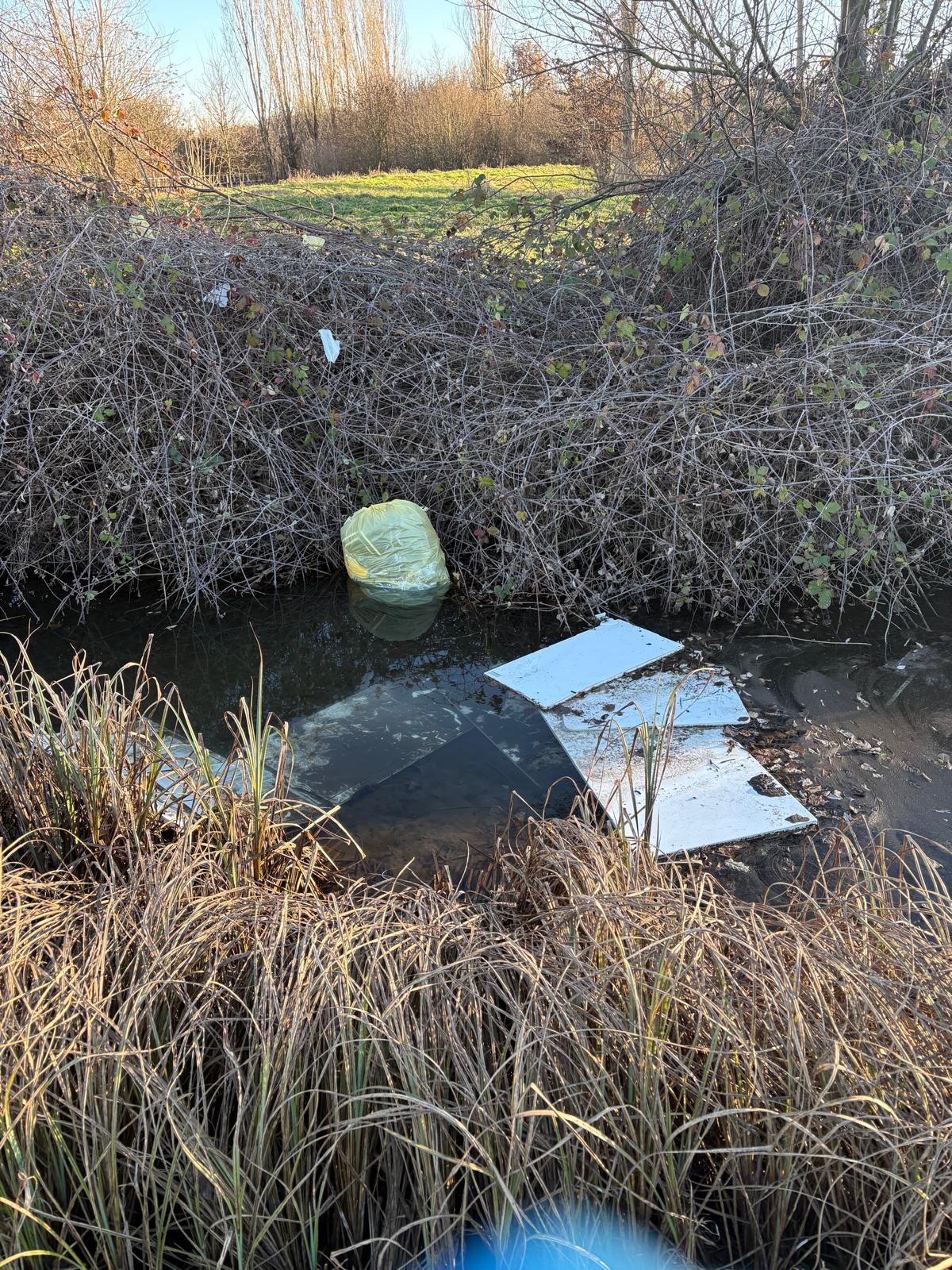 Abbandono di rifiuti: anche i privati rischiano la denuncia penale