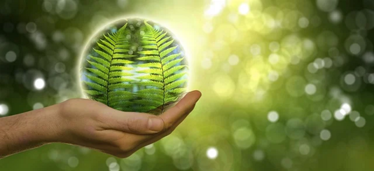 Immagine Servizio Ecologia ed Ambiente